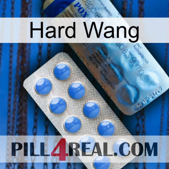 Hard Wang 40.jpg